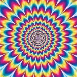 Meet your Posher, Ray